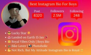 800+ Best Instagram Bio For Boys – Attitude & Stylish Bio (2025)