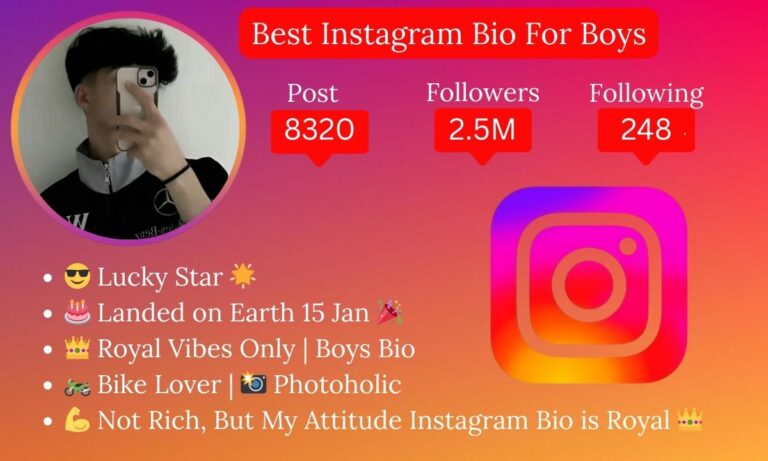 800+ Best Instagram Bio For Boys – Attitude & Stylish Bio (2025)