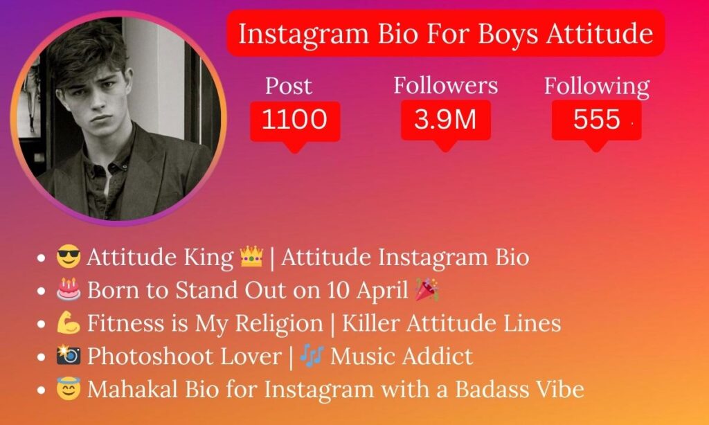 Instagram Bio For Boys Attitude