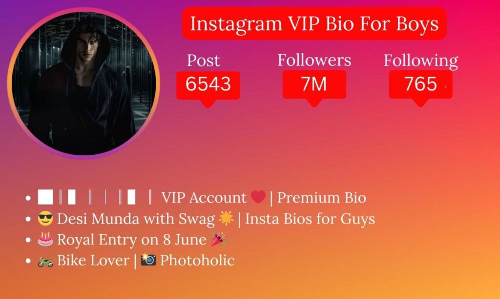 Instagram VIP Bio For Boys